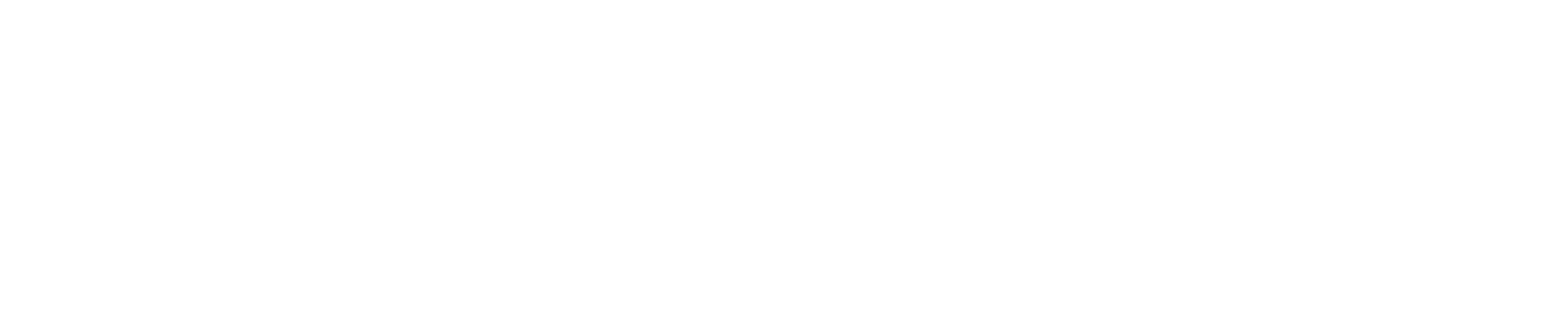 Fusion Sportswear logo